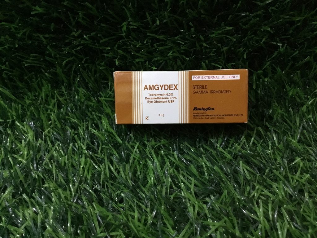 Amgydex eye ointment 3.5g