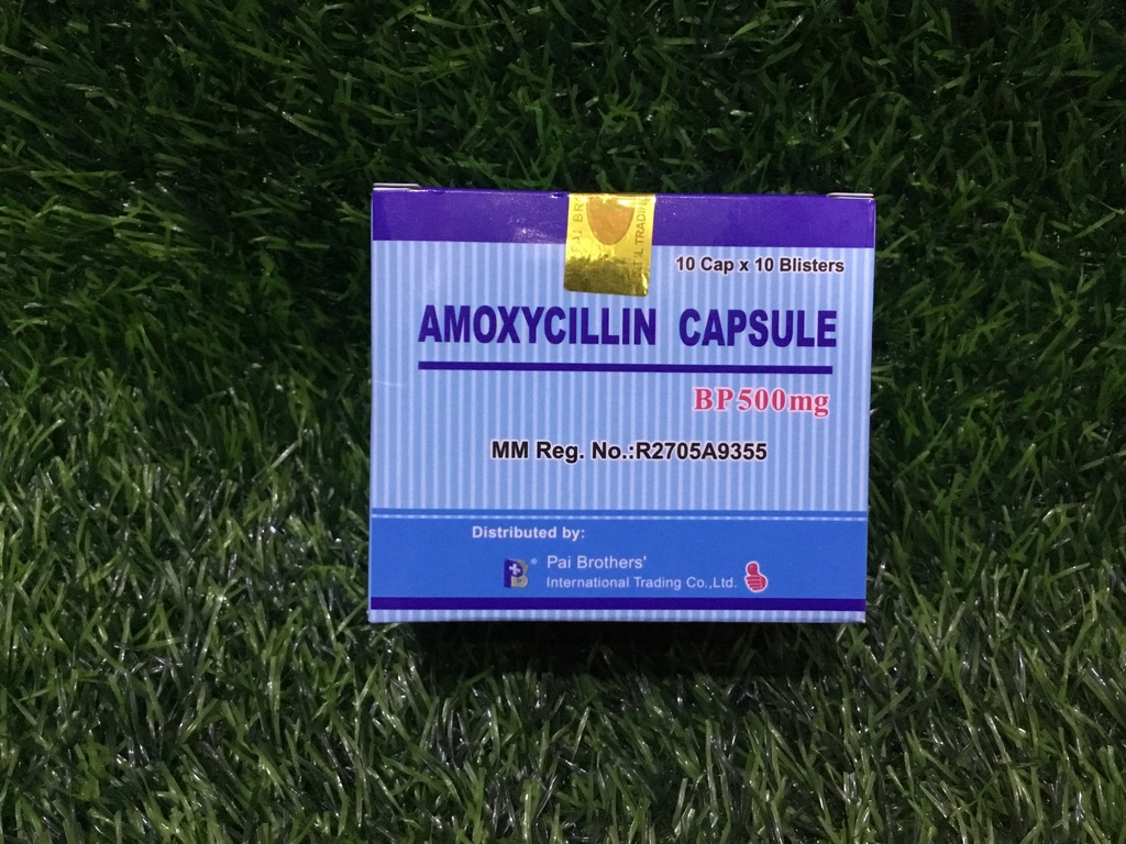 Pai-Amoxillin 500mg