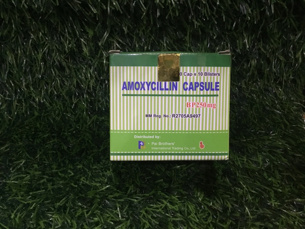 Pai-Amoxillin 250mg