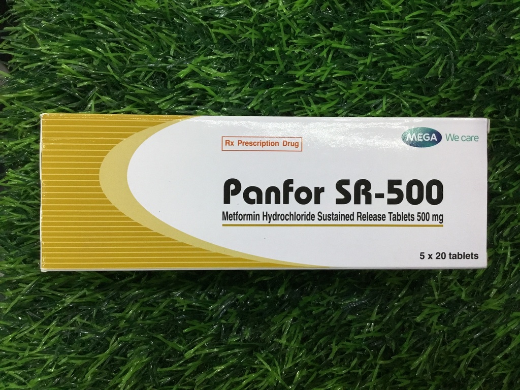 Panfor SR-500