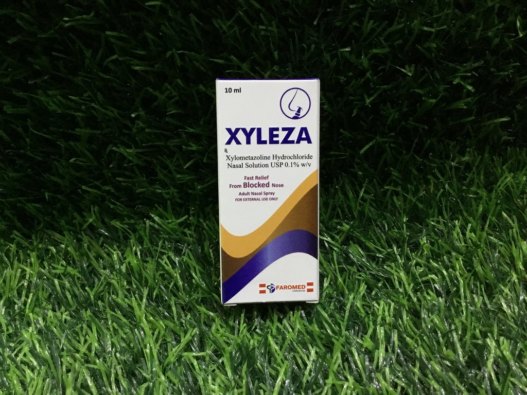 Xyleza 0.1