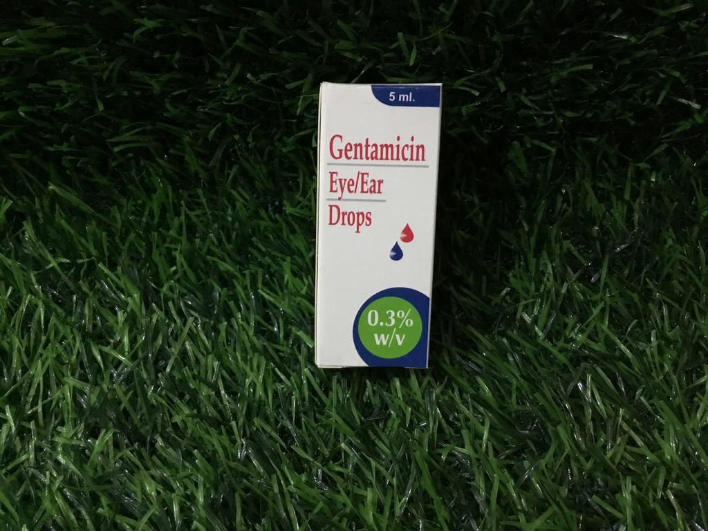 Gentamicin Eye Drop