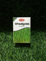 Fame-Wheatgrass 60