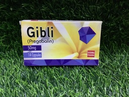 Gibli-50